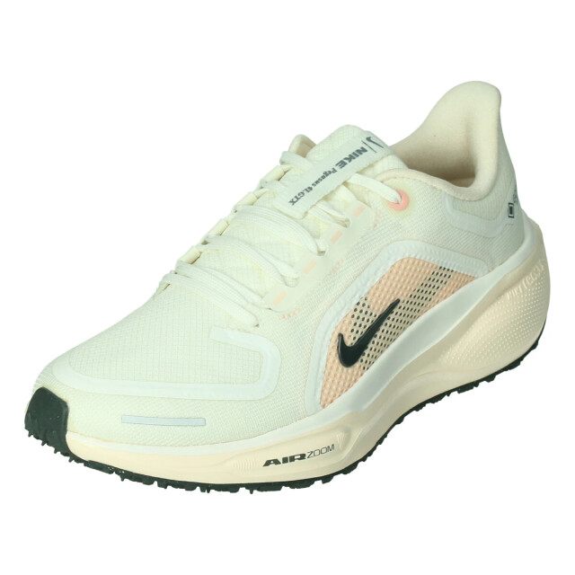 Nike Pegasus 41 gore-tex 132837 large