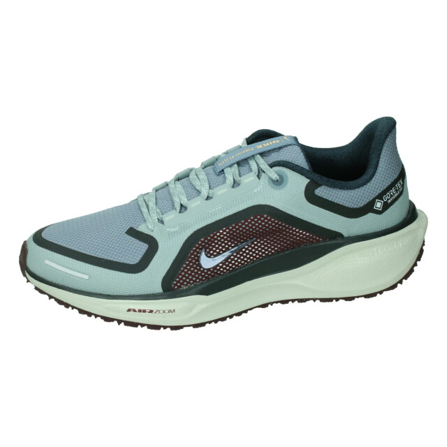 Nike Pegasus 41 gore-tex 133105 large