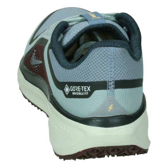 Nike Pegasus 41 gore-tex 133105 large