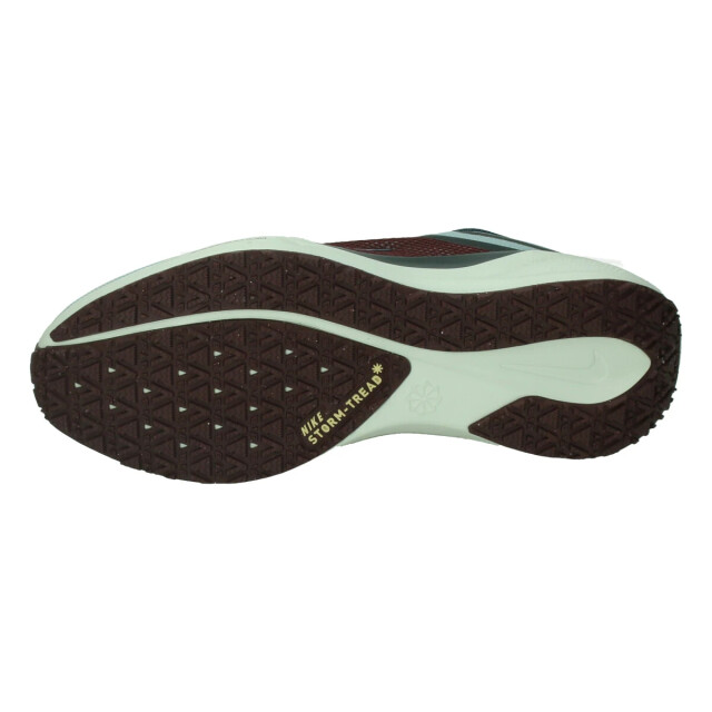 Nike Pegasus 41 gore-tex 133105 large