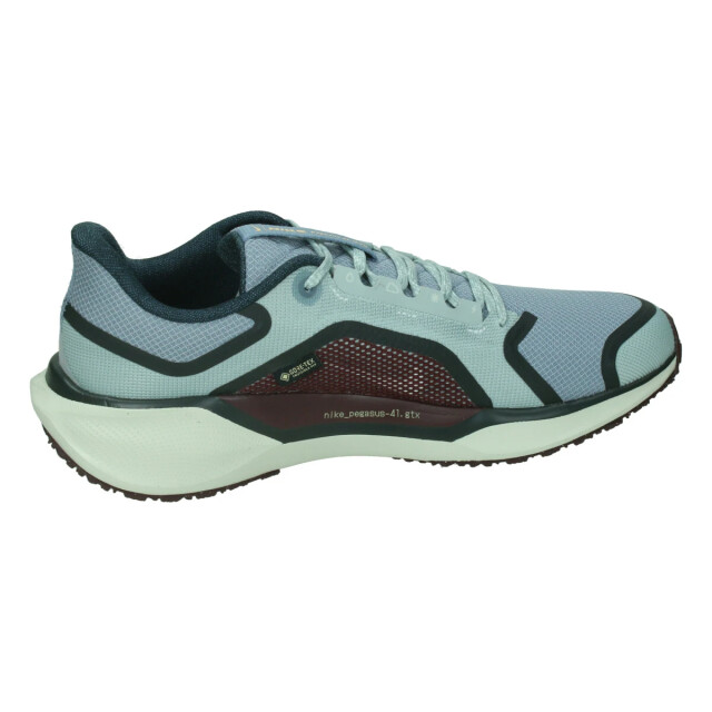 Nike Pegasus 41 gore-tex 133105 large