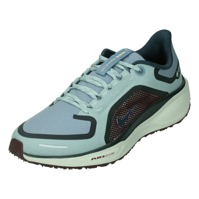 Nike Pegasus 41 gore-tex 133105 large