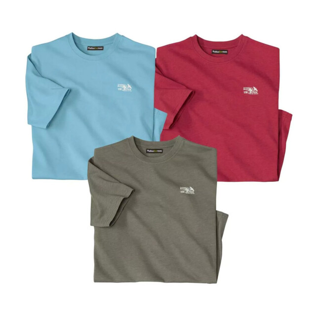 Atlas For Men Heren t-shirt met ronde hals (3-pack) UTAF177_khakiredblue large