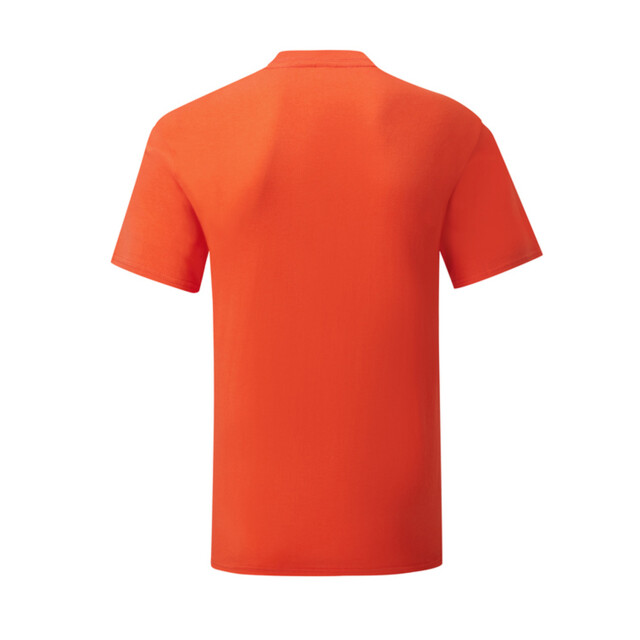 Fruit of the Loom Heren iconisch 150 t-shirt UTFK2628_flame large