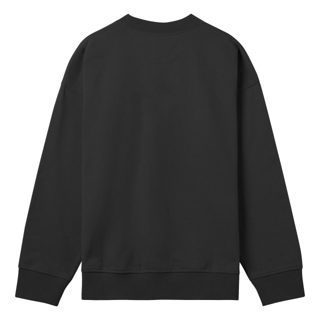 True Blanks Heren boxy sweatshirt UTFK2208_offblack large