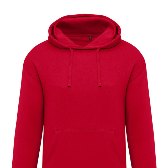 SG Effen heren hoodie UTFK3335_sky large