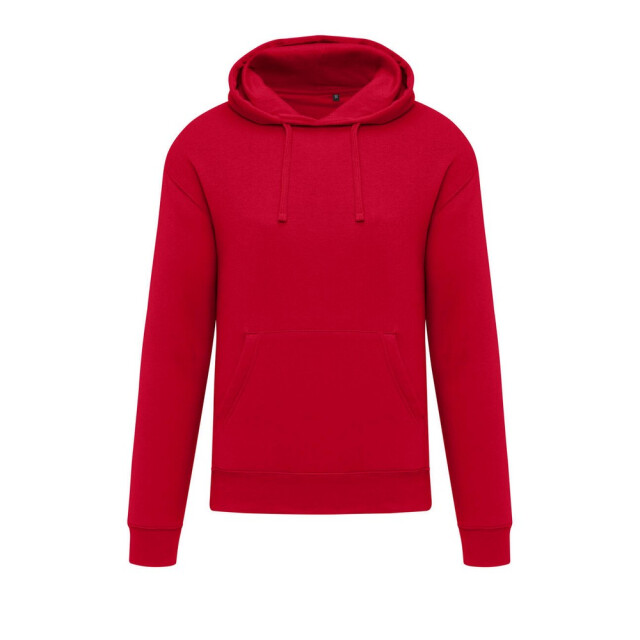 SG Effen heren hoodie UTFK3335_sky large