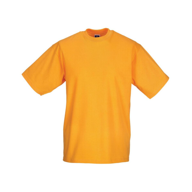 Jerzees Colours Heren klassiek t-shirt met korte mouwen UTFK731_puregold large