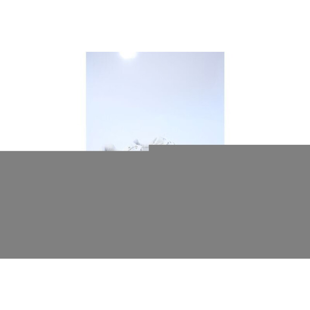 Copenhagen Cph89 sneakers 89 large