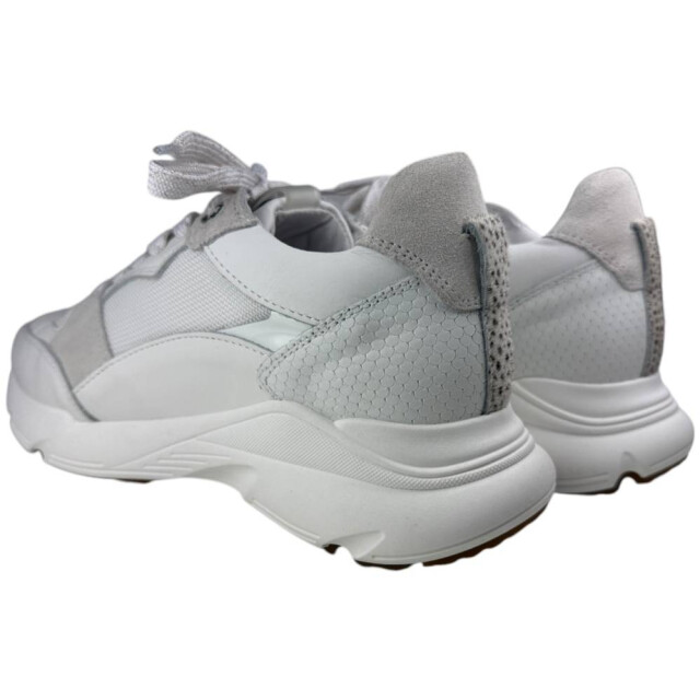 Maruti 66.1776.01 sneaker 66.1776.01 large
