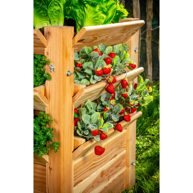 Westmann Verhoogde plantenbak premium l 66x66x73 cm 3047650 large