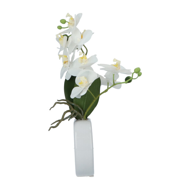 Kopu ® kunstbloem te orchidee 35 cm in mooie te vaas phalenopsis 2612713 large