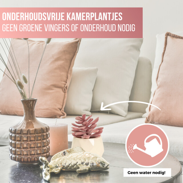 GreenDream ® kunstplantjes set 6 kunstplanten keramiek potje 6 stuks vetplanten 3047769 large