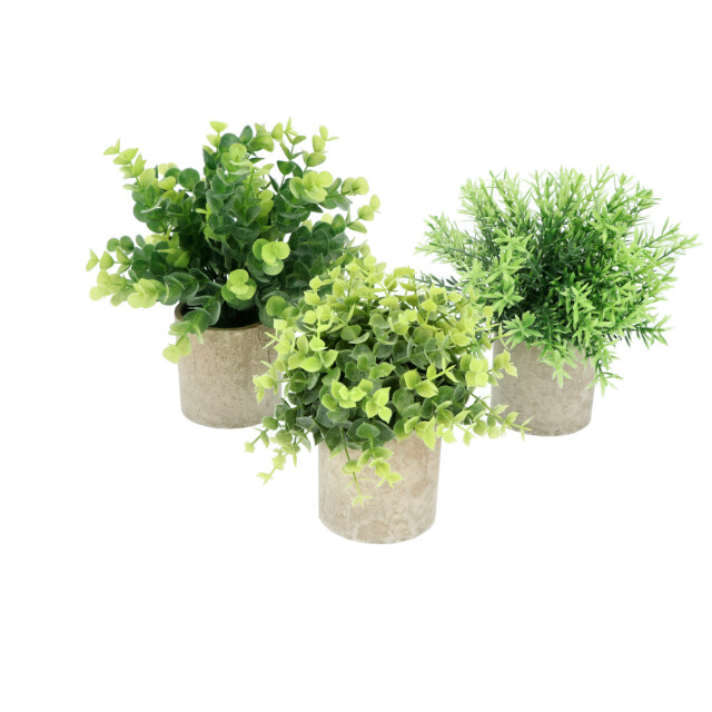 GreenDream ® kunstplanten kleine kunstplanten kamerplanten 3 stuks - 3047765 large