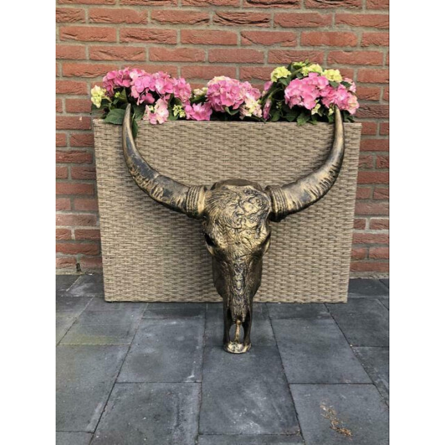 Vtw Living Buffel schedel skull bedrukt skull voor aan de muur dierenhoofd schedel 3058785 large