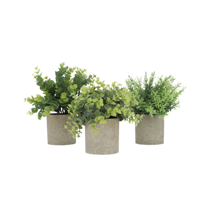 GreenDream ® kunstplanten kleine kunstplanten kamerplanten 3 stuks - 3047765 large