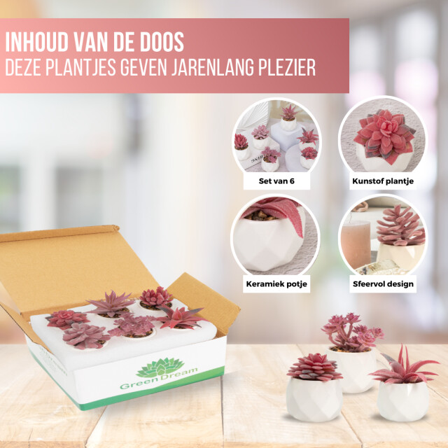 GreenDream ® kunstplantjes set 6 kunstplanten keramiek potje 6 stuks vetplanten 3047769 large