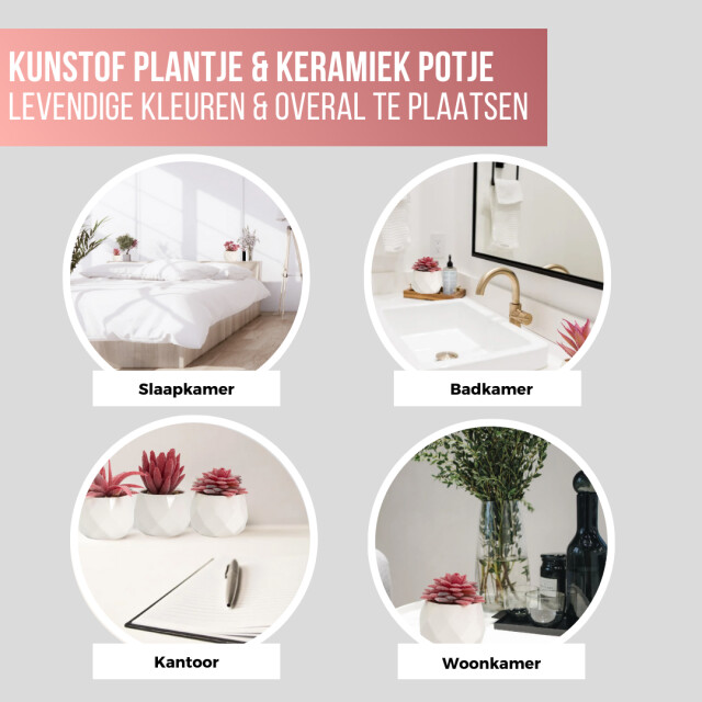 GreenDream ® kunstplantjes set 6 kunstplanten keramiek potje 6 stuks vetplanten 3047769 large