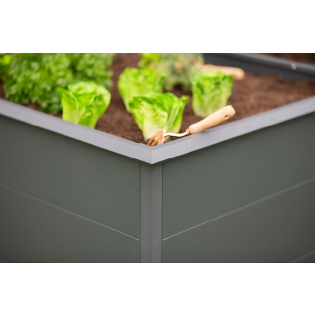 Westmann Hoge plantenbak primus xl wmhps772010 200x100x77 cm 3047621 large