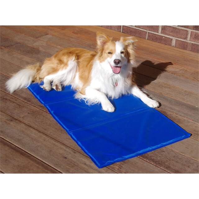 4animalz ® koelmat voor honden en katten 60x80 cm - 3048701 large