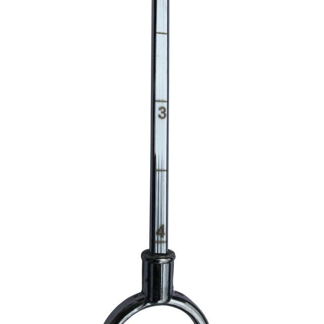 4cookz ® bbq marinadeinjector rvs 120ml inclusief 2 naalden 3048621 large