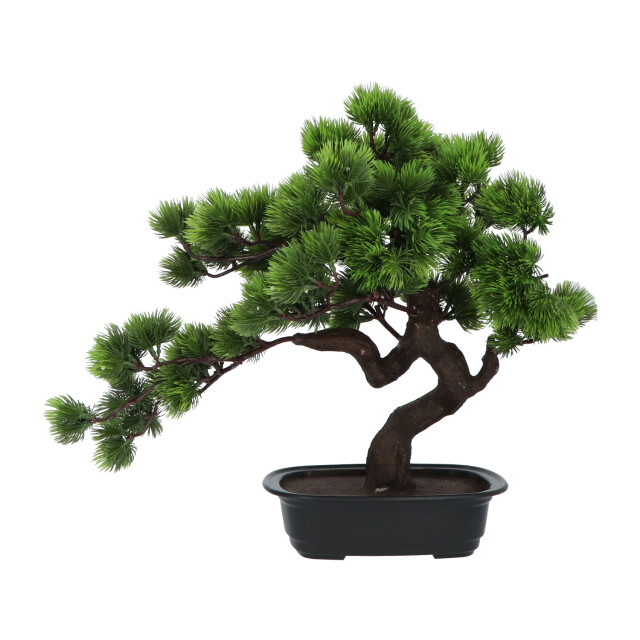Kopu ® kunstplant bonsai 40 cm pijnboom met zwarte pot bonsai boompje 2612720 large