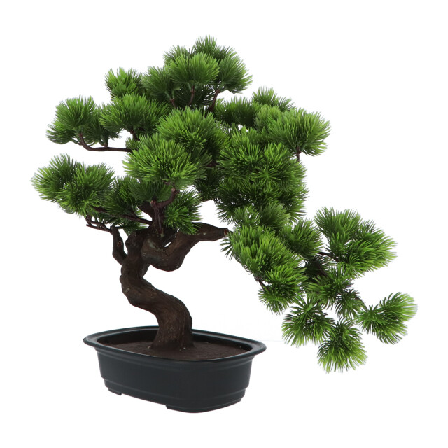Kopu ® kunstplant bonsai 40 cm pijnboom met zwarte pot bonsai boompje 2612720 large