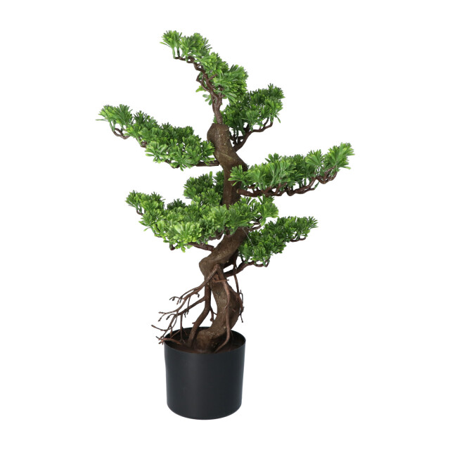 Kopu ® kunstplant bonsai 65 cm in zwarte pot bonsai boompje 2612741 large