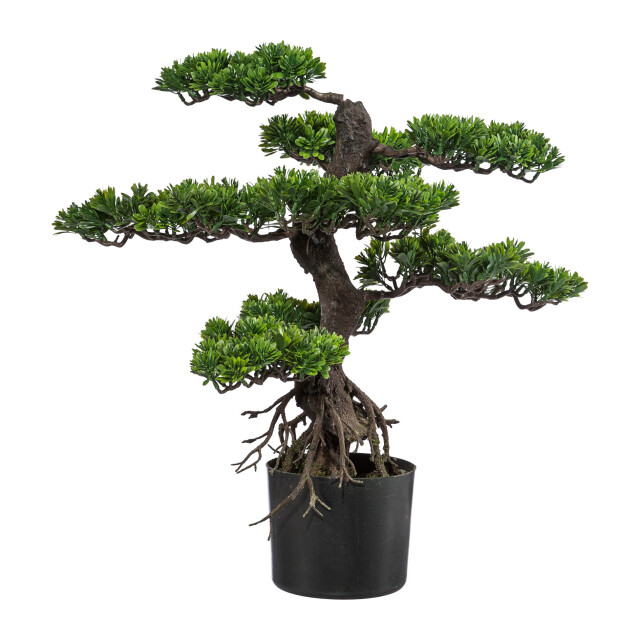 Kopu ® kunstplant bonsai 65 cm in zwarte pot bonsai boompje 2612741 large