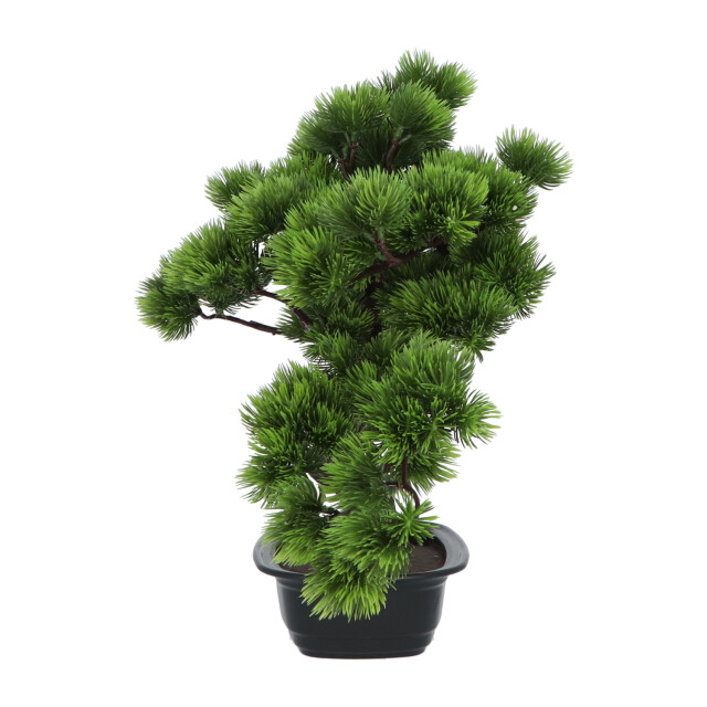 Kopu ® kunstplant bonsai 40 cm pijnboom met zwarte pot bonsai boompje 2612720 large