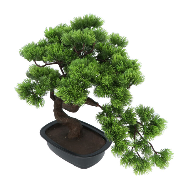 Kopu ® kunstplant bonsai 40 cm pijnboom met zwarte pot bonsai boompje 2612720 large