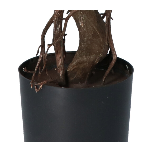 Kopu ® kunstplant bonsai 65 cm in zwarte pot bonsai boompje 2612741 large