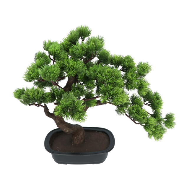 Kopu ® kunstplant bonsai 40 cm pijnboom met zwarte pot bonsai boompje 2612720 large