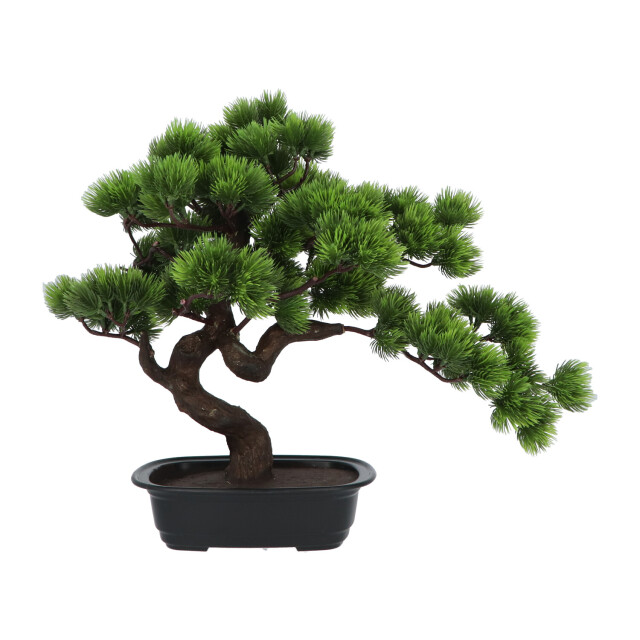 Kopu ® kunstplant bonsai 40 cm pijnboom met zwarte pot bonsai boompje 2612720 large