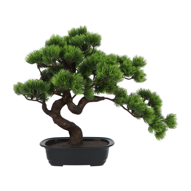 Kopu ® kunstplant bonsai 40 cm pijnboom met zwarte pot bonsai boompje 2612720 large