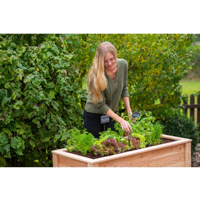 Westmann Verhoogde plantenbak wm102422 moestuin op poten 3047595 large