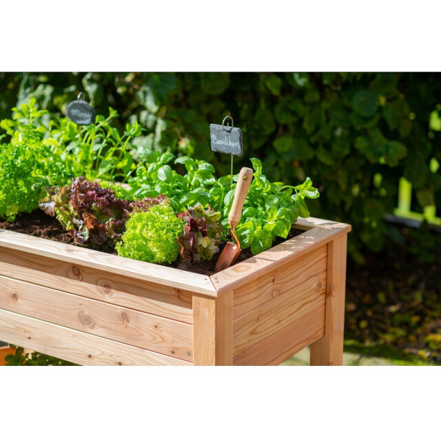 Westmann Plantenbak wm102420 tuin hochbeed 3047596 large
