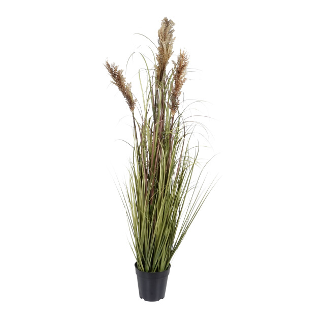 Kopu ® kunstplant pluimgierst 122 cm 5 halmen in zwarte pot 2612735 large