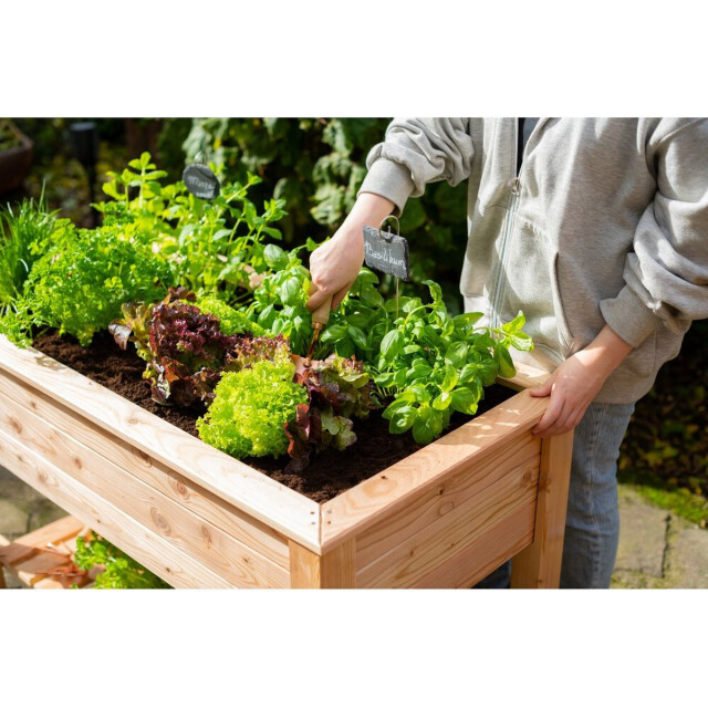 Westmann Plantenbak wm102420 tuin hochbeed 3047596 large