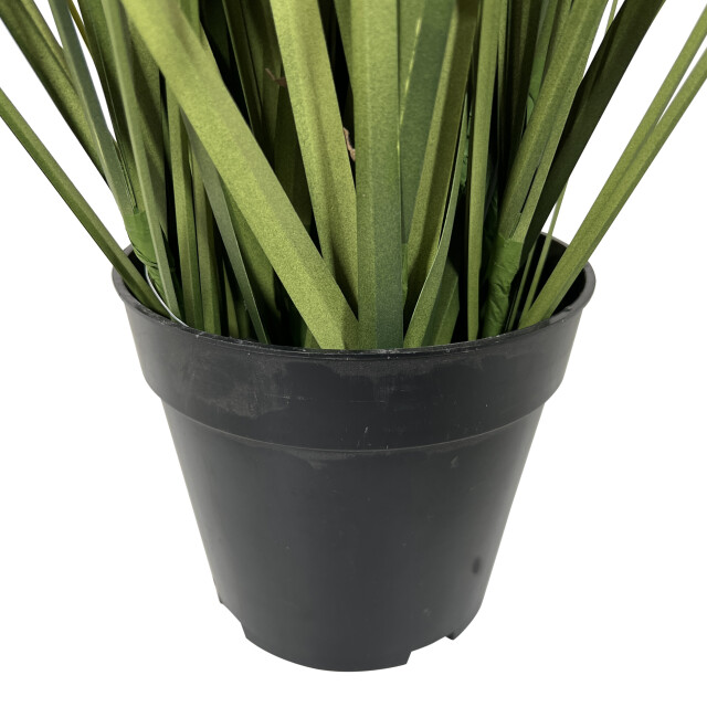Kopu ® kunstplant pluimgierst 122 cm 5 halmen in zwarte pot 2612735 large