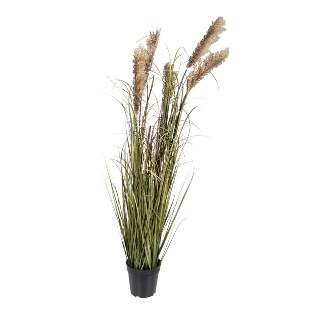Kopu ® kunstplant pluimgierst 122 cm 5 halmen in zwarte pot 2612735 large