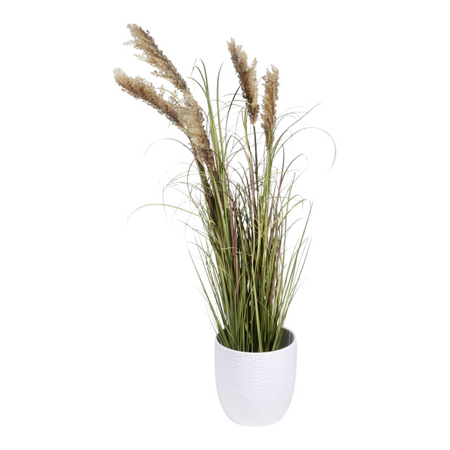 Kopu ® kunstplant pluimgierst 122 cm 5 halmen in zwarte pot 2612735 large