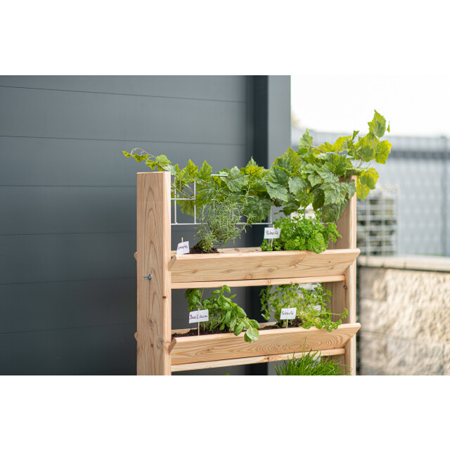 Westmann Westman kruidenrek plantenbak met traliewerk viktoria l 50x80x95cm 3047651 large