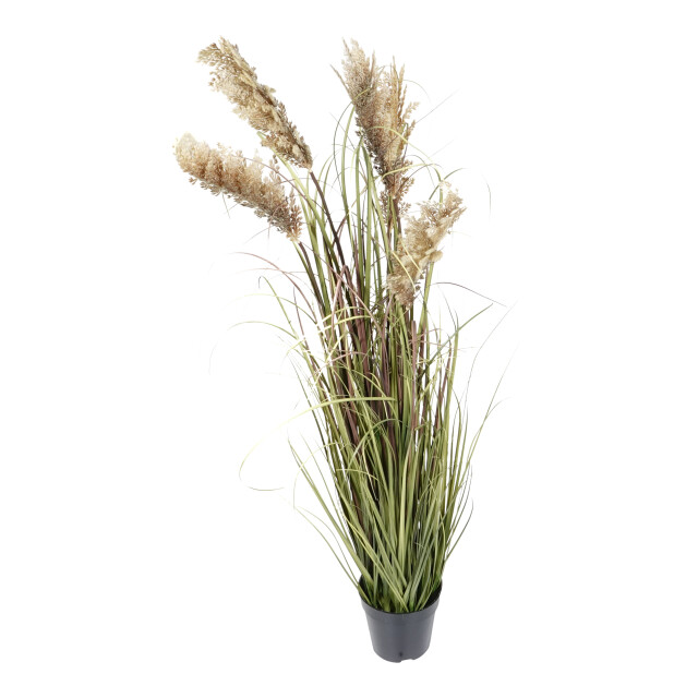 Kopu ® kunstplant pluimgierst 122 cm 5 halmen in zwarte pot 2612735 large