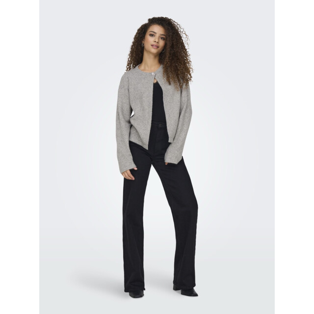 Only Jdyana life ls one button cardigan melee 4249.87.0021 large