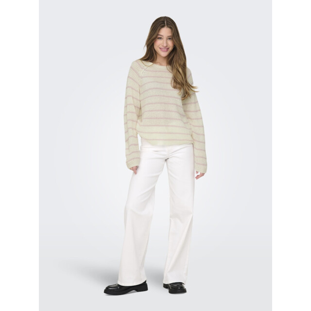 Jacqueline de Yong ellen l/s oneck raglan pullover 15312077 light lilac 06712.198.0216 large
