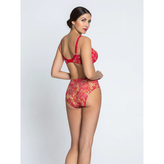 Lise Charmel Hoge slip foret rubis ACJ0317 large