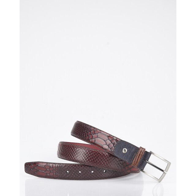 Floris van Bommel 038493-82-115 Riemen Cognac 038493-82-115 large