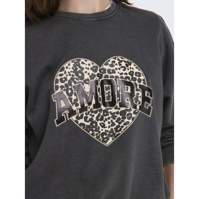 Only onllauren l/s leo o-neck cc swt 15339833 phantom 06721.980.0001 large