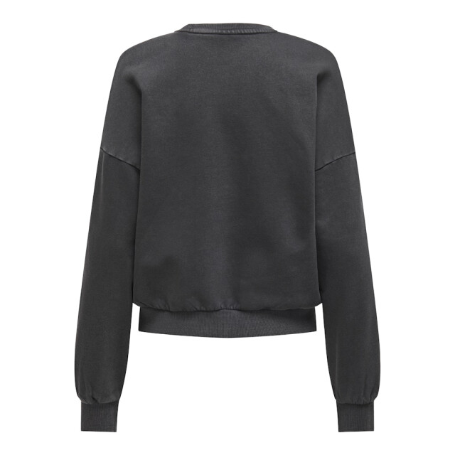 Only onllauren l/s leo o-neck cc swt 15339833 phantom 06721.980.0001 large